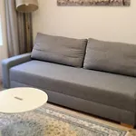 In Center Laisves Avenue 51 One Bedroom - Free Parking