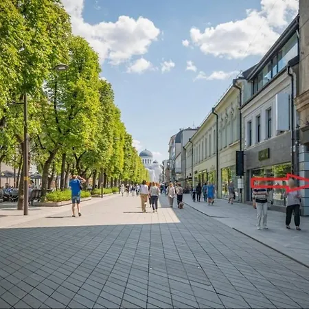 In La51a Standard - Free Parking * Kaunas