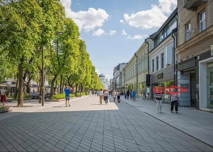 In La51a Standard - Free Parking * Kaunas